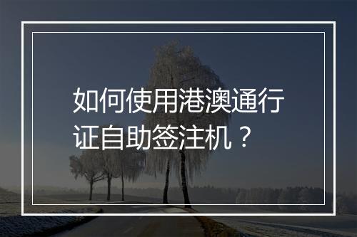 如何使用港澳通行证自助签注机？