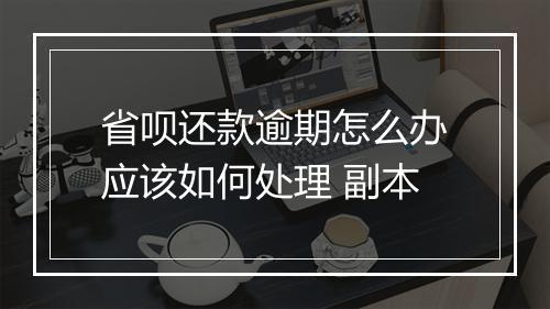 省呗还款逾期怎么办应该如何处理 副本