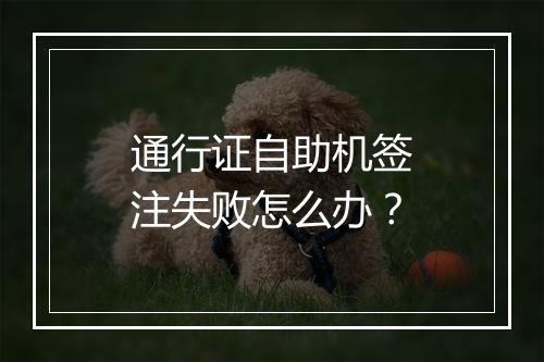 通行证自助机签注失败怎么办？