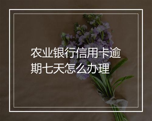 农业银行信用卡逾期七天怎么办理