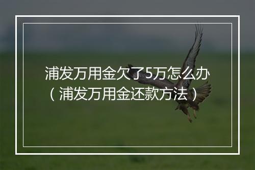 浦发万用金欠了5万怎么办（浦发万用金还款方法）