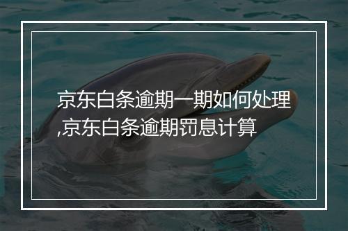 京东白条逾期一期如何处理,京东白条逾期罚息计算