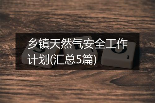 乡镇天然气安全工作计划(汇总5篇)