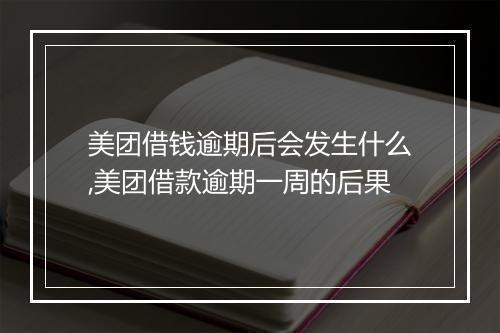 美团借钱逾期后会发生什么,美团借款逾期一周的后果