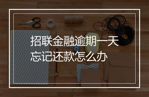招联金融逾期一天忘记还款怎么办