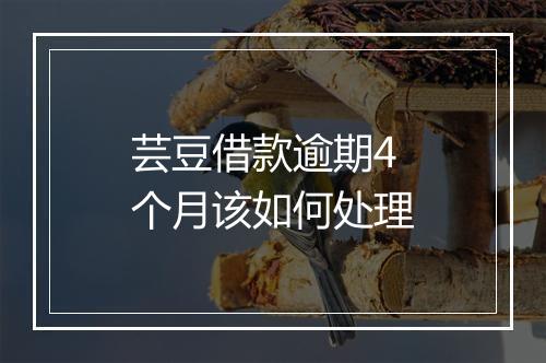 芸豆借款逾期4个月该如何处理