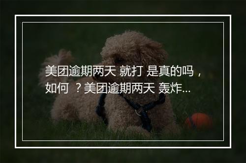 美团逾期两天 就打 是真的吗，如何 ？美团逾期两天 轰炸如何应对？
