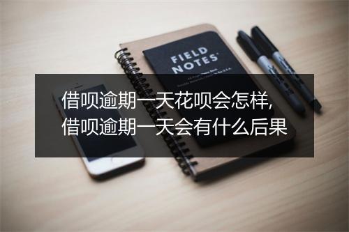 借呗逾期一天花呗会怎样,借呗逾期一天会有什么后果