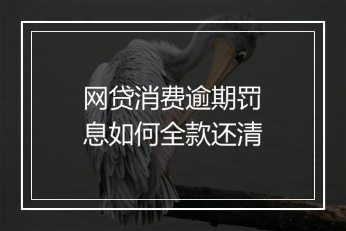 网贷消费逾期罚息如何全款还清