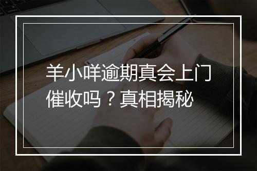 羊小咩逾期真会上门催收吗？真相揭秘