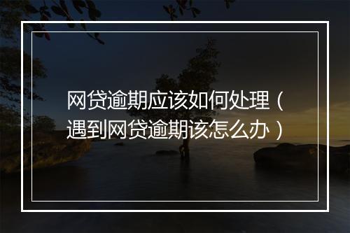 网贷逾期应该如何处理（遇到网贷逾期该怎么办）