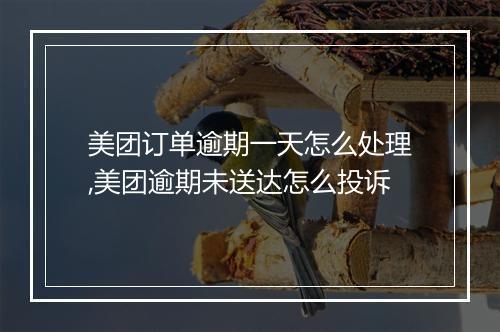 美团订单逾期一天怎么处理,美团逾期未送达怎么投诉
