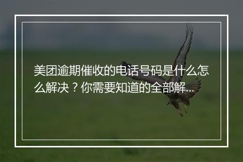 美团逾期催收的电话号码是什么怎么解决？你需要知道的全部解决方法