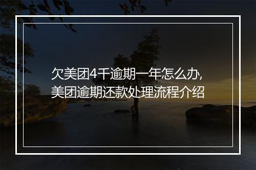 欠美团4千逾期一年怎么办,美团逾期还款处理流程介绍