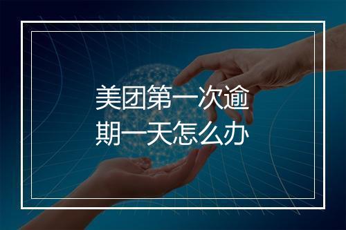 美团第一次逾期一天怎么办