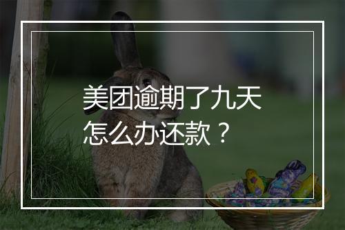 美团逾期了九天怎么办还款？