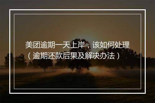 美团逾期一天上岸，该如何处理（逾期还款后果及解决办法）