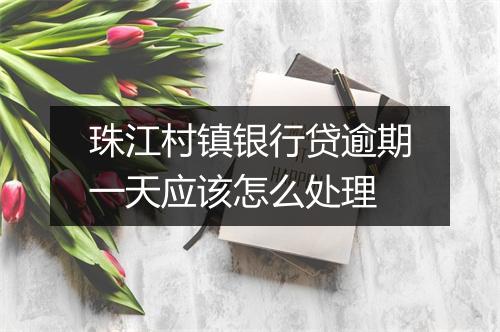 珠江村镇银行贷逾期一天应该怎么处理