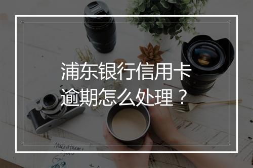 浦东银行信用卡逾期怎么处理？