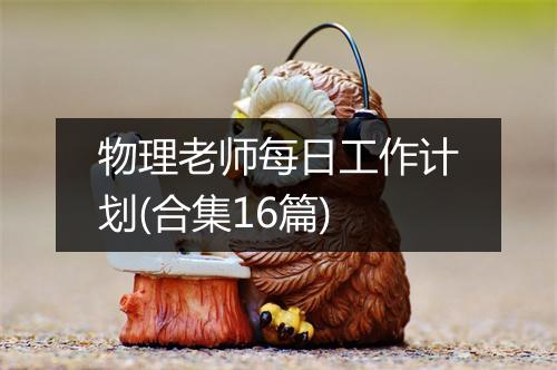 物理老师每日工作计划(合集16篇)