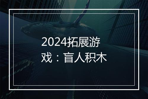 2024拓展游戏：盲人积木