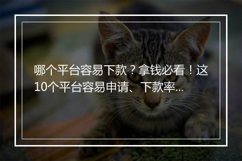哪个平台容易下款？拿钱必看！这10个平台容易申请、下款率高
