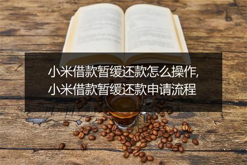 小米借款暂缓还款怎么操作,小米借款暂缓还款申请流程