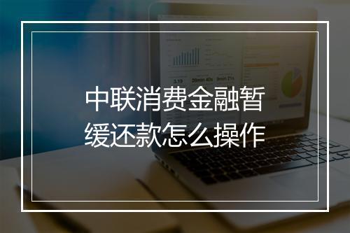 中联消费金融暂缓还款怎么操作