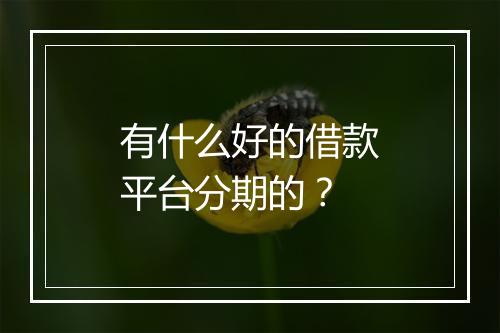 有什么好的借款平台分期的？
