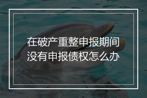 在破产重整申报期间没有申报债权怎么办