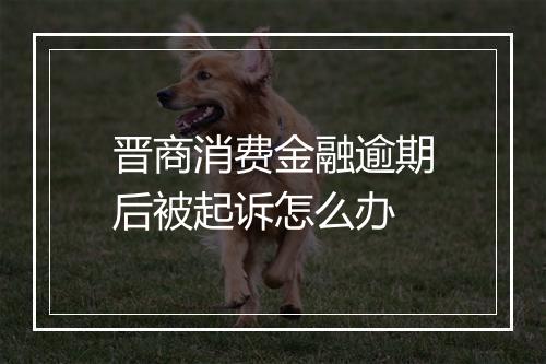 晋商消费金融逾期后被起诉怎么办