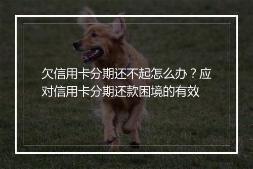 欠信用卡分期还不起怎么办？应对信用卡分期还款困境的有效