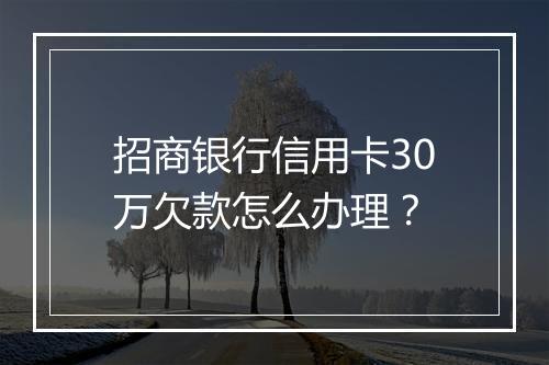 招商银行信用卡30万欠款怎么办理？
