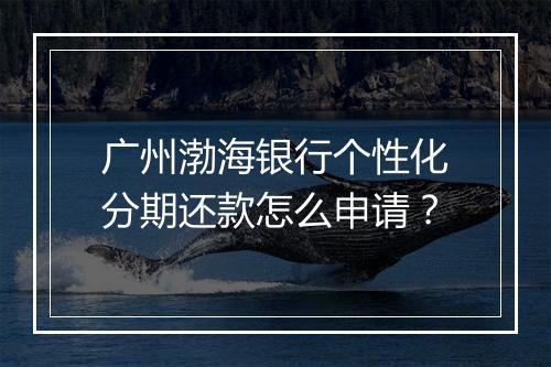 广州渤海银行个性化分期还款怎么申请？