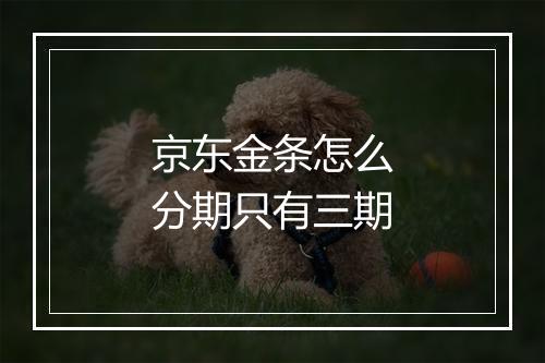 京东金条怎么分期只有三期