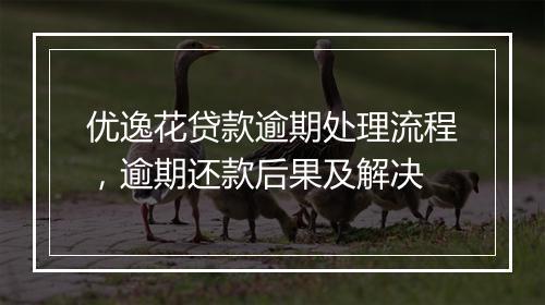 优逸花贷款逾期处理流程，逾期还款后果及解决