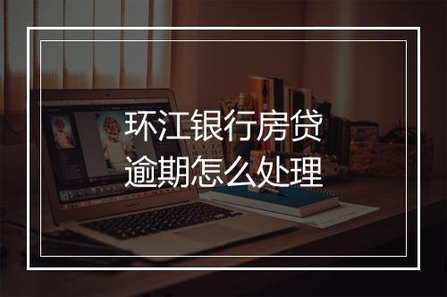 环江银行房贷逾期怎么处理