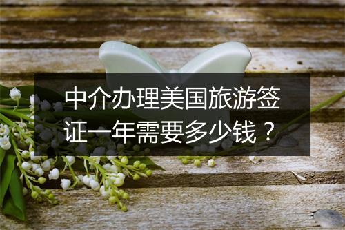 中介办理美国旅游签证一年需要多少钱？