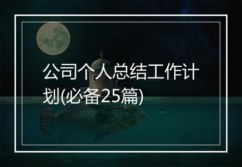 公司个人总结工作计划(必备25篇)