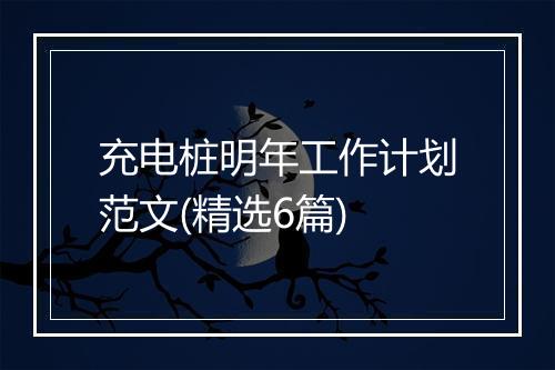 充电桩明年工作计划范文(精选6篇)