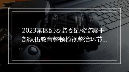 2023某区纪委监委纪检监察干部队伍教育整顿检视整治环节工作情况报告