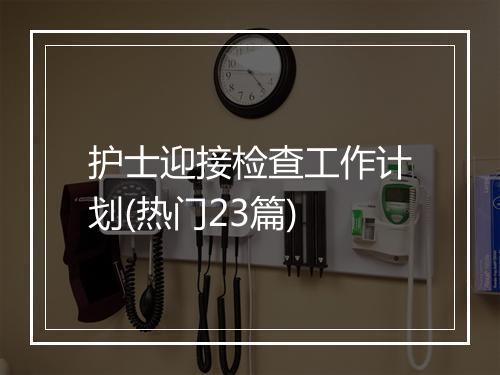 护士迎接检查工作计划(热门23篇)