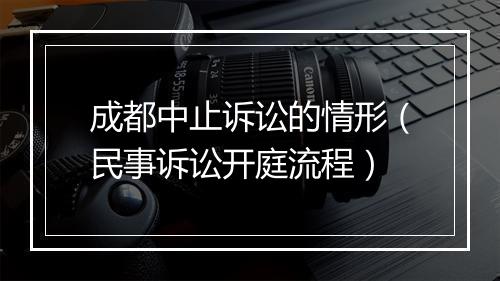 成都中止诉讼的情形（民事诉讼开庭流程）