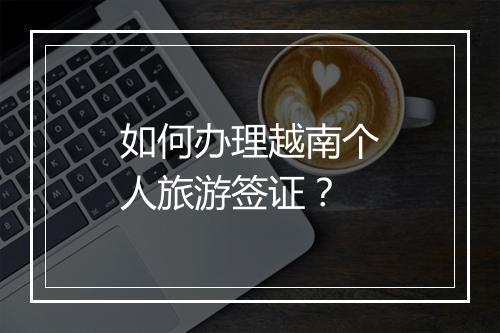 如何办理越南个人旅游签证？