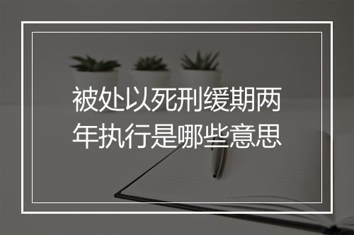 被处以死刑缓期两年执行是哪些意思