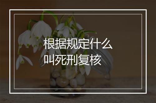 根据规定什么叫死刑复核