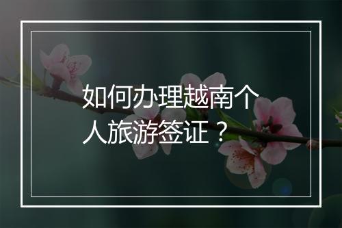 如何办理越南个人旅游签证？
