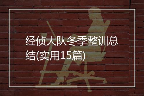 经侦大队冬季整训总结(实用15篇)
