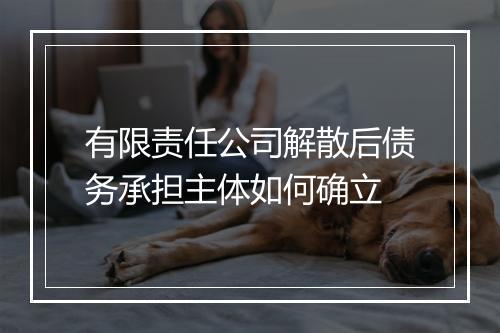 有限责任公司解散后债务承担主体如何确立
