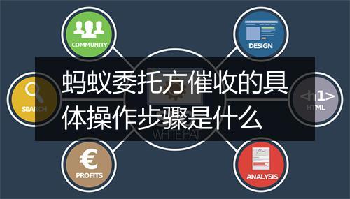 蚂蚁委托方催收的具体操作步骤是什么